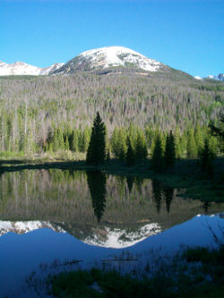 Rocky Mountain