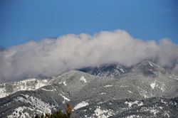 Bridgers H