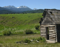old cabin and bison