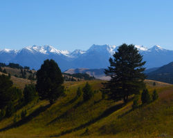 Trail Creed Road View B