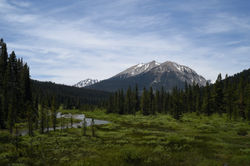 Taylor Creek area