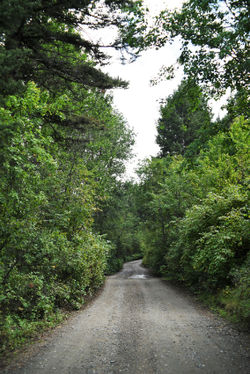 Gallatin Face area