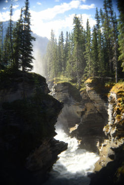 Athabaska Falls