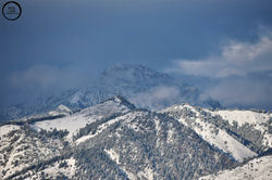 Bridgers I