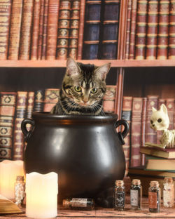 Oliver in cauldron B