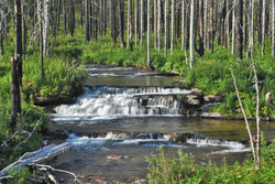 Blackiston Creek