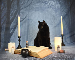 Cosmos Halloween 2025