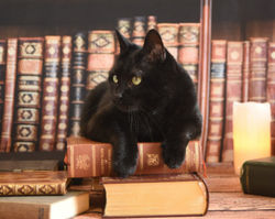 Cosmos on books