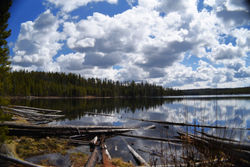 Ice Lake