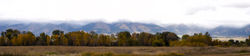 fall colours and the Bridgers