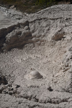 Mudpots B
