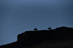 cowboy silhouette
