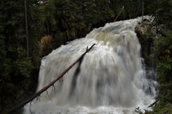 Ousel Falls