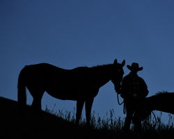 Anna Fawkes and Sundance Silhouette