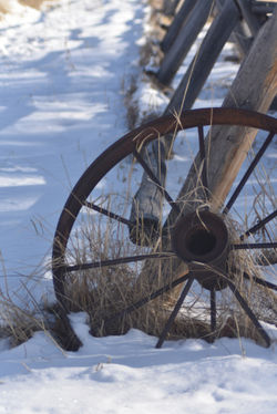 wagon wheel