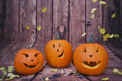 jack'o'lanturns