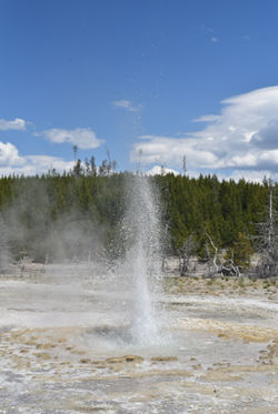 Yellowstone C