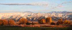 Bridgers autum or winter?