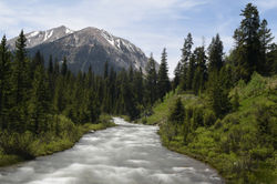Taylor Creek B