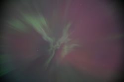 2024 Aurora D