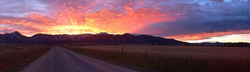 Bridger Sunrise
