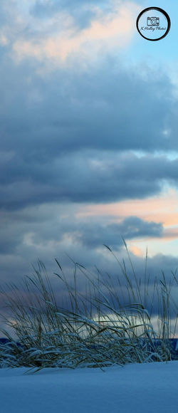 grass and clouds