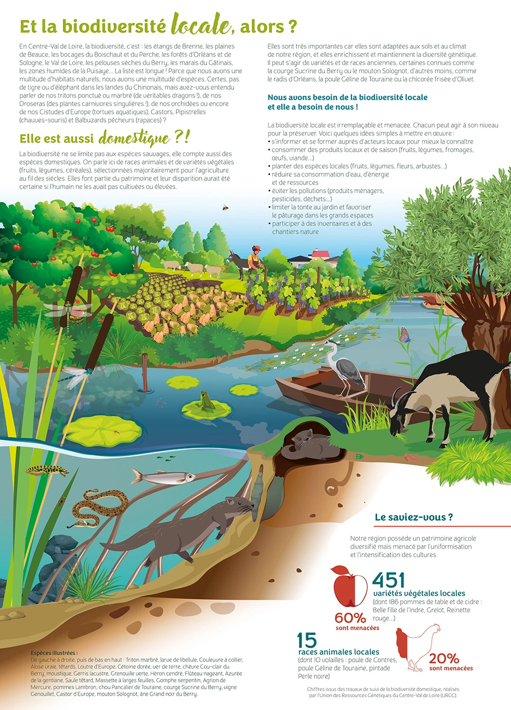 MotionKiwi document pédagogique ARB Centre Val de Loire
