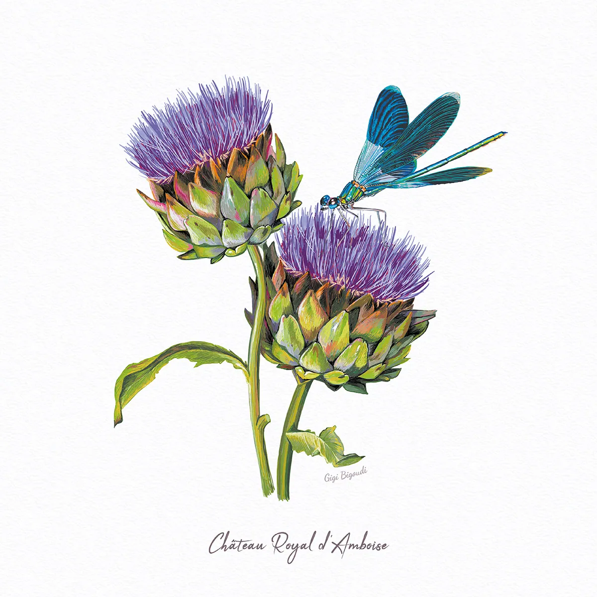 illustration Gigi Bigoudi artichaut en fleur libellule