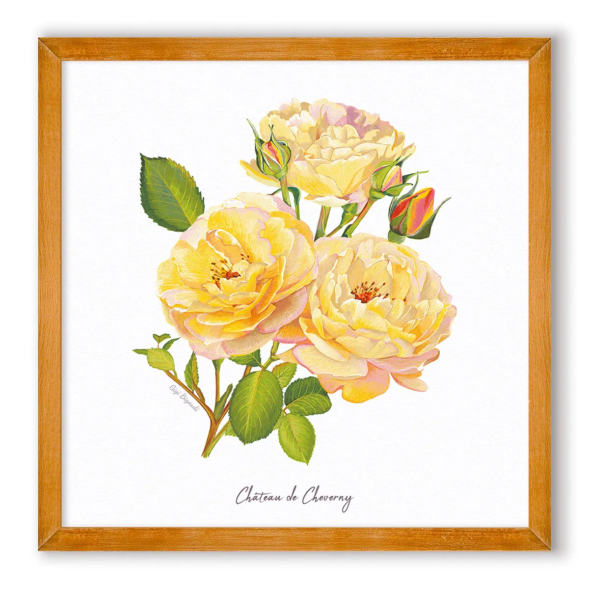 Carte d'art Gigi Bigoudi Rose de Cheverny