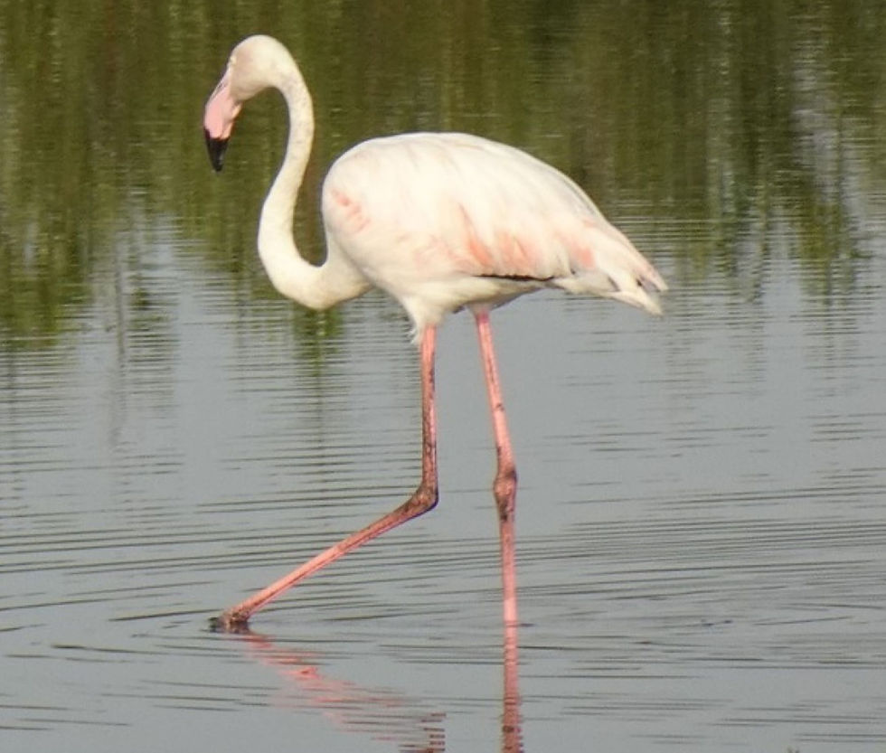 Thumbnail: copy of 3 Days 2 nights Livingstone to Lochniver National Park