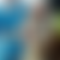 We now offer Zippay!