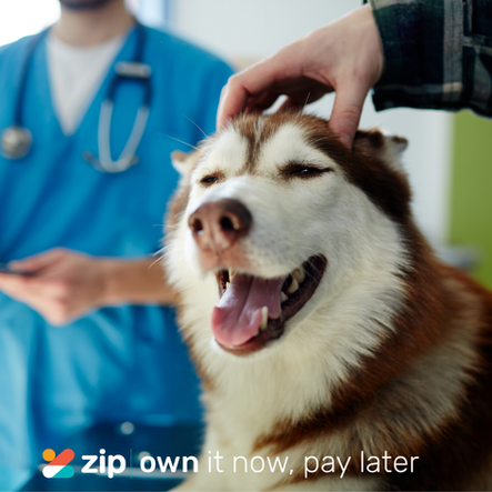 We now offer Zippay!