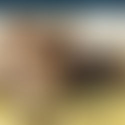 We hope you are all having a happy and safe Easter long weekend at home 🐾