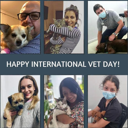 Happy International Vet Day