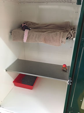 image2(7).jpeg