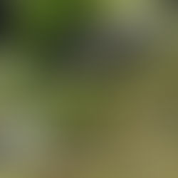MORTE NA BR: Motociclista morre após grave colisão com carro na BR-364, próximo a Tarauacá
