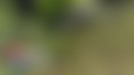 MORTE NA BR: Motociclista morre após grave colisão com carro na BR-364, próximo a Tarauacá