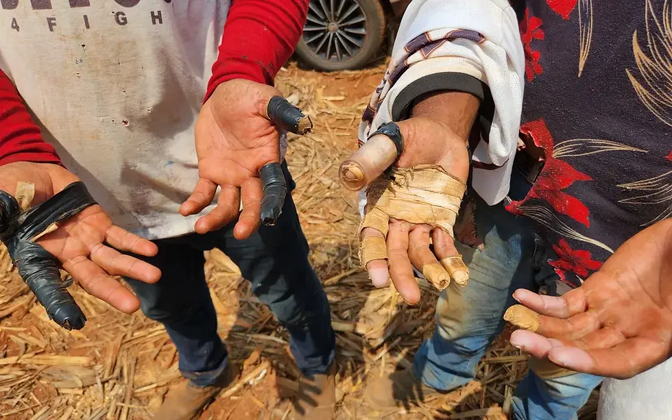 Homens são resgatados em situação semelhante a trabalho escravo — Foto: Ministério do Trabalho/Divulgação