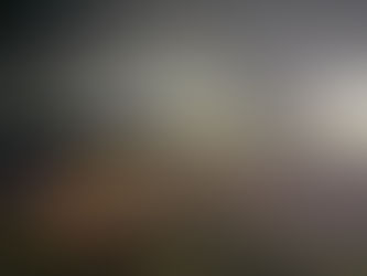 Operação integrada entre PRF e PCAM recuperam 45 cabeças de gado furtadas e prende suspeito na fronteira entre AC e AM