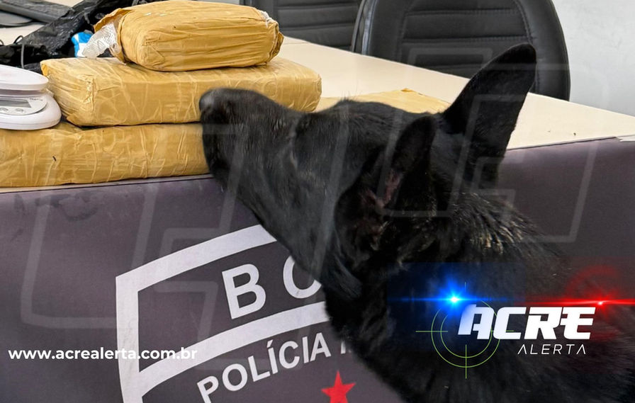 BOPE apreende cerca de 3,5 kg de maconha às margens do Igarapé São Francisco, em Rio Branco