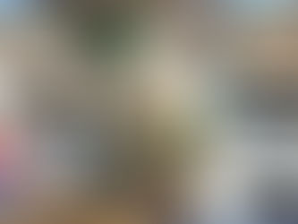 Operação do GEFRON resulta na apreensão de 23 kg de skunk e na prisão de dois suspeitos em Senador Guiomard