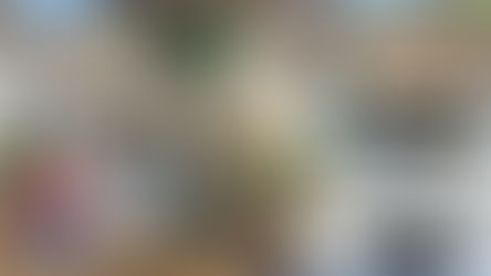 Operação do GEFRON resulta na apreensão de 23 kg de skunk e na prisão de dois suspeitos em Senador Guiomard
