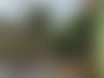 CHUVAS: Árvore cai durante temporal e interdita parcialmente rua no bairro Tangará 