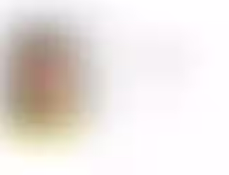 Governo Trump divulga foto de prisão de Alexandre Ramagem após detenção por imigração nos EUA