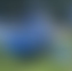 RESGATE: Caçador tropeça, dispara arma acidentalmente, fica em estado Grave e é resgatado às pressas de helicóptero no interior do Acre