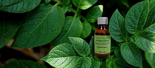 true botanica bottle.jpg
