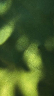 401edbf58636620d48c489fb79116db3.jpg
