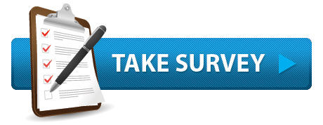 Online Survey