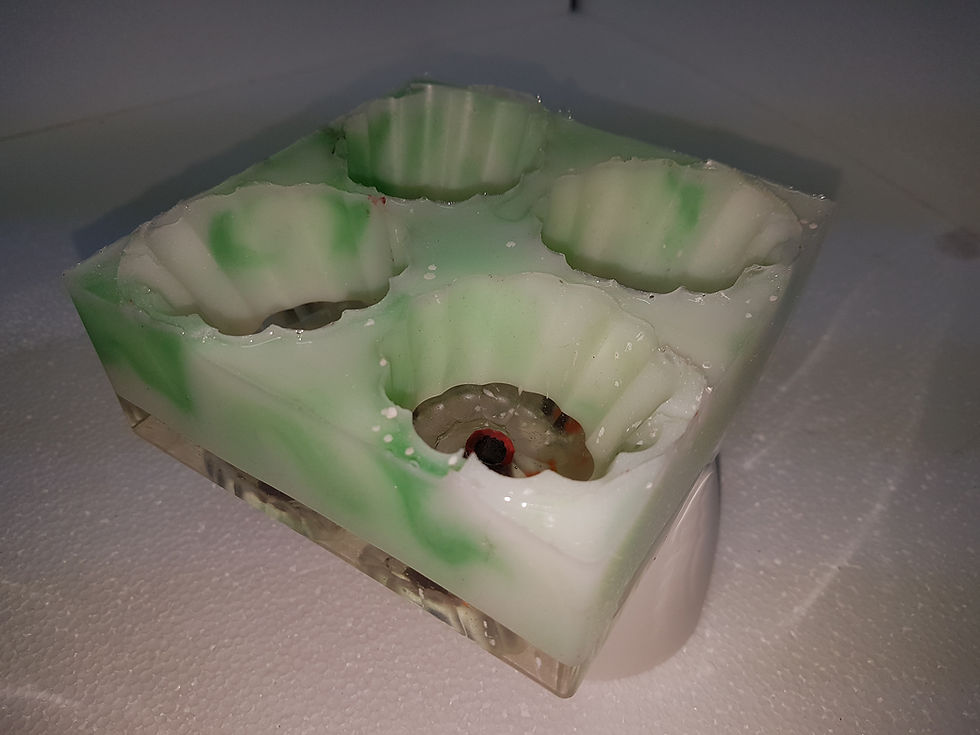 Miniatura: Vasetti in resina per 4 piantine