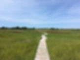 Martha's Vineyard